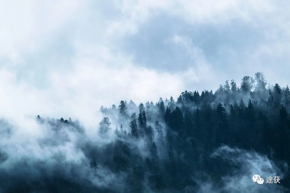 笔墨初尝：短诗